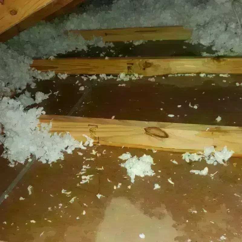 Attic Water Damage in Hackberry, TX